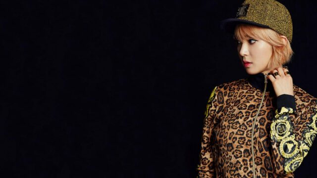 Stylish K-pop Idol in Leopard Print Jacket PC Wallpaper