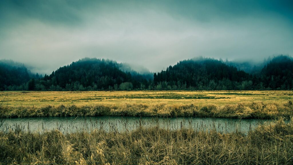 Misty Forest Landscape Over a Quiet River Desktop Wallpaper