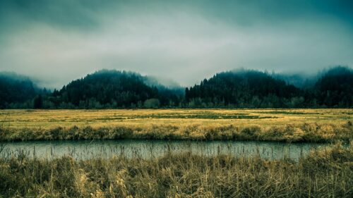 Misty Forest Landscape Over a Quiet River Desktop Wallpaper