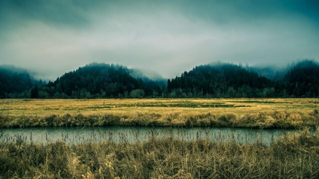 Misty Forest Landscape Over a Quiet River Desktop Wallpaper