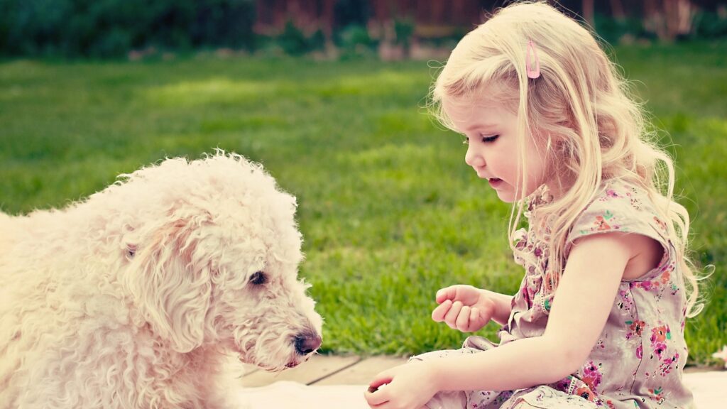 Little Girl Feeding Her Fluffy Golden Doodle Dog in the Park Desktop Wallpaper