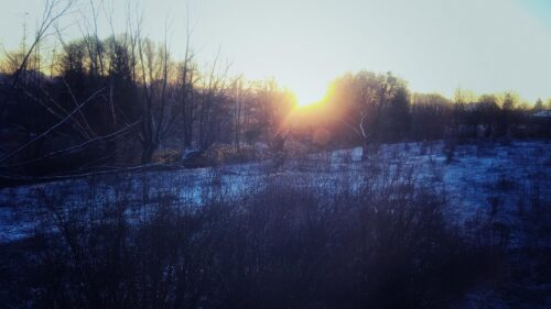 Stunning Winter Sunrise Over Frosty Forest Landscape Desktop Wallpaper