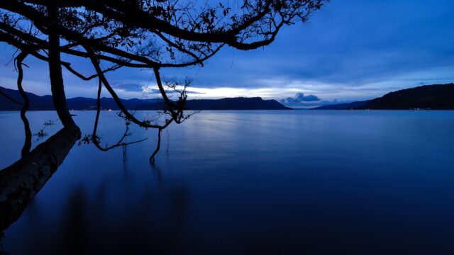 Serene Blue Hour Lake View with Silhouetted Tree Branch Desktop Wallpaper