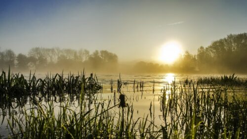 Misty Morning Sunrise Over Calm Lake Landscape Desktop Wallpaper