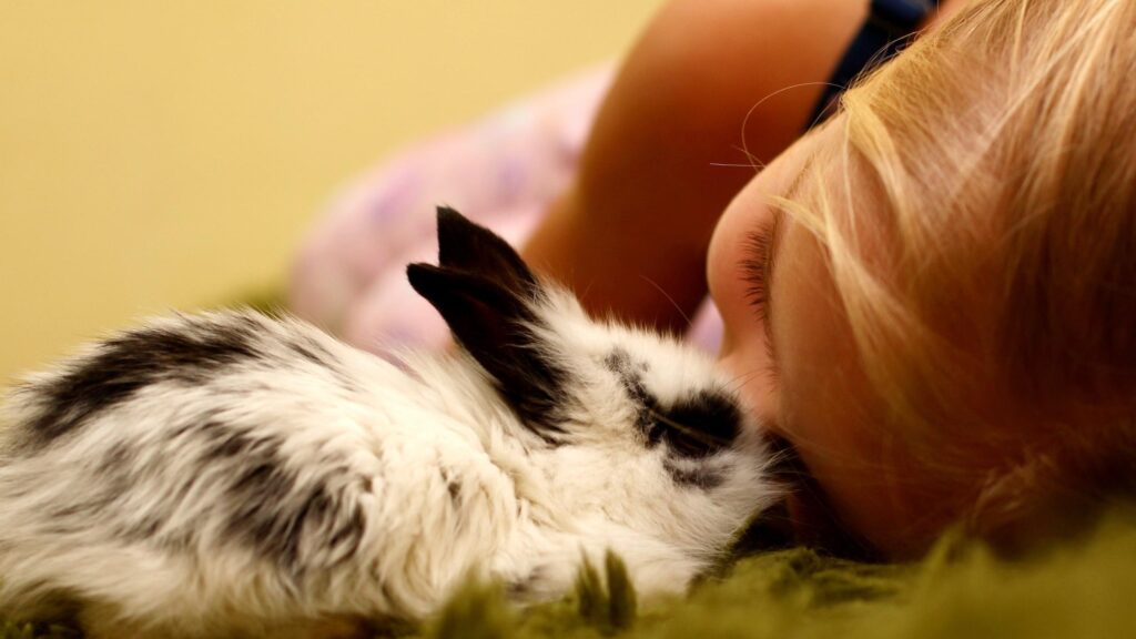 Close Up of a Little Girl Cuddling a Cute Baby Bunny 4K Desktop Wallpaper