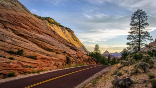 Zion National Park Scenic Road Sunset Landscape Desktop Wallpaper