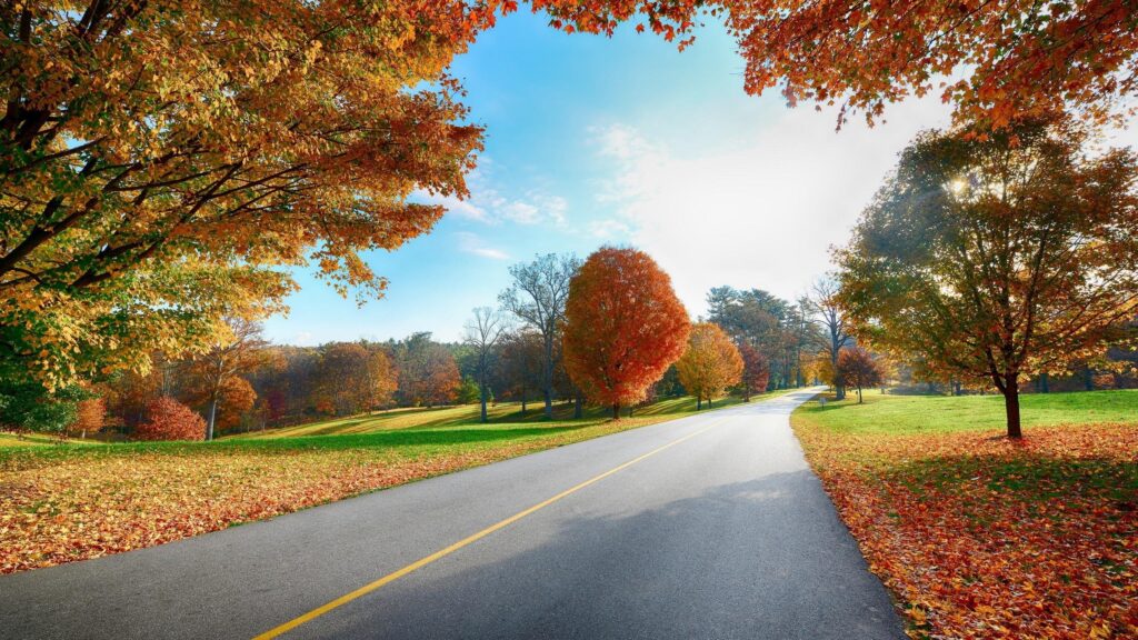 Stunning Autumn Road Through Colorful Fall Foliage Landscape Desktop Wallpaper