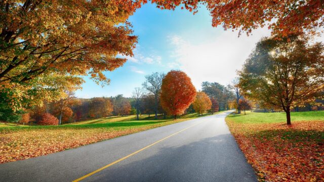 Stunning Autumn Road Through Colorful Fall Foliage Landscape Desktop Wallpaper