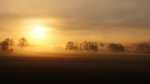 Golden Morning Mist Over Serene Autumn Fields Desktop Wallpaper