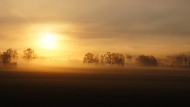 Golden Morning Mist Over Serene Autumn Fields Desktop Wallpaper