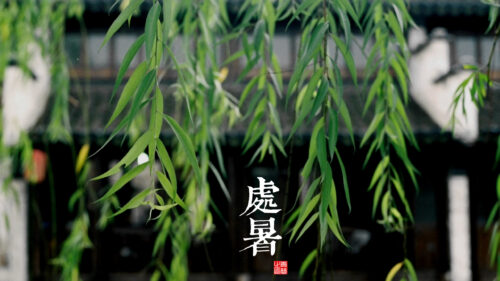 Traditional Chinese Willow Branches with Calligraphy Text 4K Desktop Wallpaper