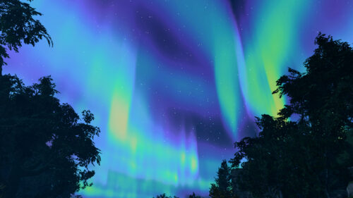 Breathtaking Northern Lights Over Forest Night Sky 4K Desktop Wallpaper