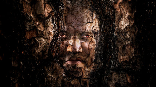 Surreal Human Face Embedded in Ancient Tree Bark 4K Wallpaper