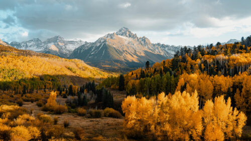 Breathtaking Autumn Mountain Peaks with Golden Aspen Trees Desktop Wallpaper