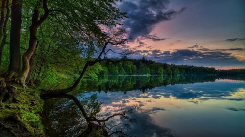 Serene Forest Lake at Sunset Landscape 4K Wallpaper