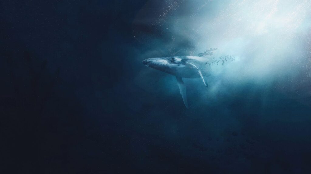 Humpback Whale Emerging from the Deep Ocean Depths 4K Desktop Wallpaper