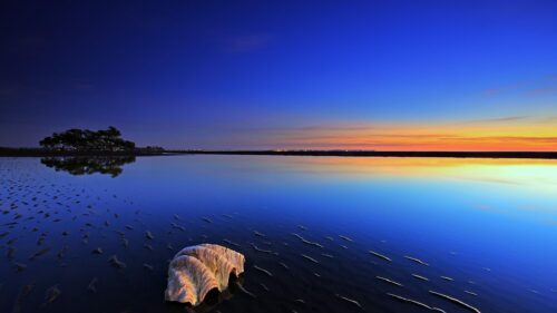 Stunning Seashell on Tranquil Beach at Twilight 4K Desktop Wallpaper