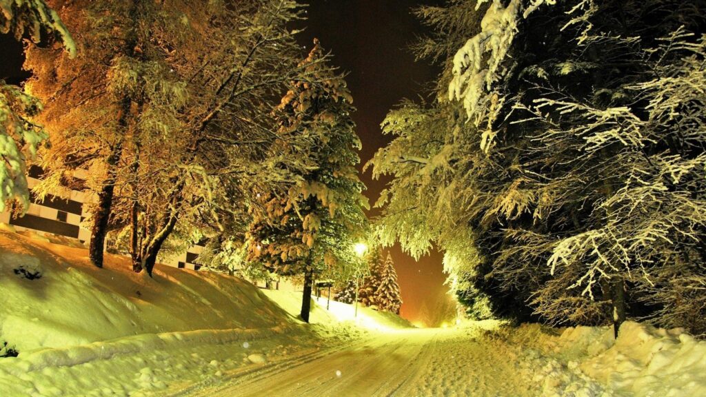 Enchanting Winter Night Snow Covered Forest Road 4K Desktop Wallpaper