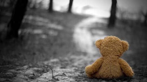 Lonely Teddy Bear Sitting on a Forest Path Desktop Wallpaper