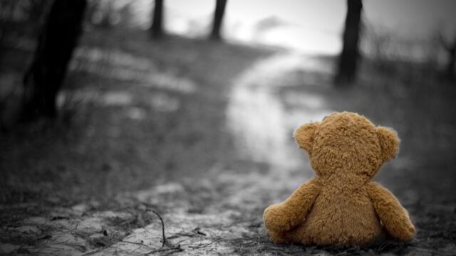 Lonely Teddy Bear Sitting on a Forest Path Desktop Wallpaper
