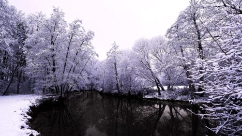 Winter Forest River Reflection Snow Landscape 4K Desktop Wallpaper