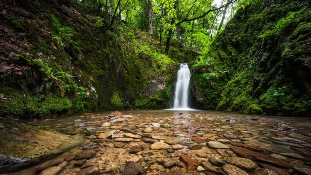 Enchanting Waterfall Hidden in a Lush Green Forest 4K Desktop Wallpaper