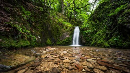 Enchanting Waterfall Hidden in a Lush Green Forest 4K Desktop Wallpaper