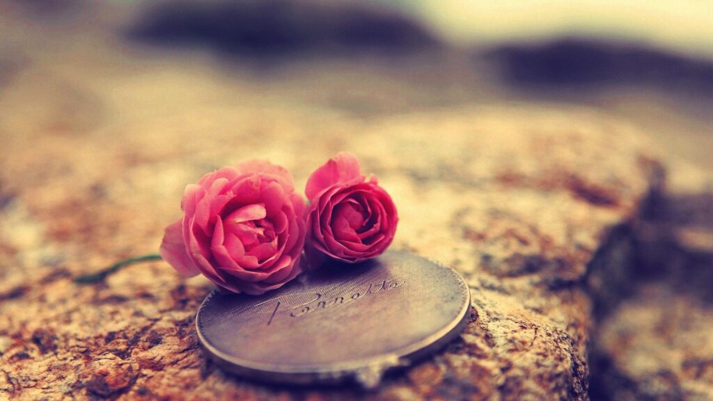 Beautiful Pink Roses on Vintage Mirror Surface 4K Desktop Wallpaper