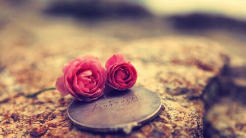 Beautiful Pink Roses on Vintage Mirror Surface 4K Desktop Wallpaper