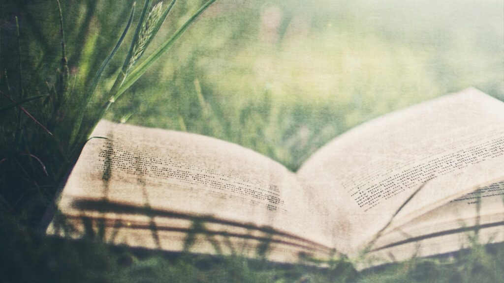 Open Book Resting in Lush Green Grass Desktop Wallpaper