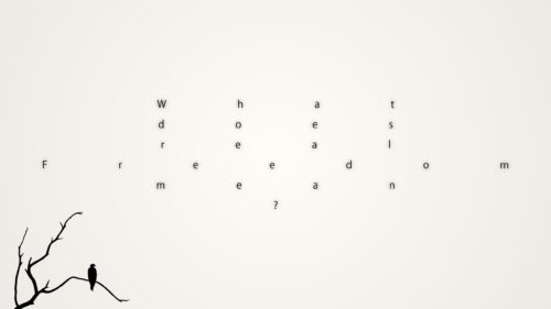Minimalist Bird on Branch Typography Freedom Concept 4K Wallpaper