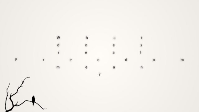 Minimalist Bird on Branch Typography Freedom Concept 4K Wallpaper