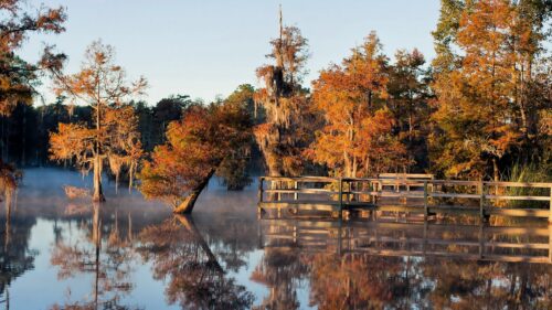 Autumn Swamp Landscape with Wooden Pier at Sunrise 4K Wallpaper