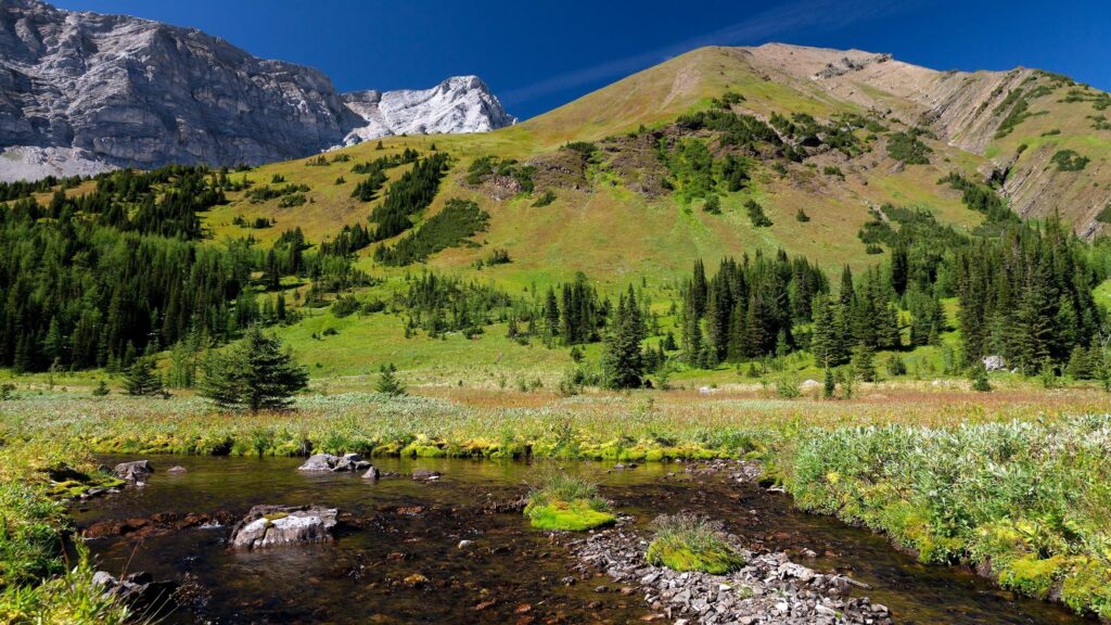 Serene Mountain Meadow Stream with Rocky Peaks 4K Desktop Wallpaper