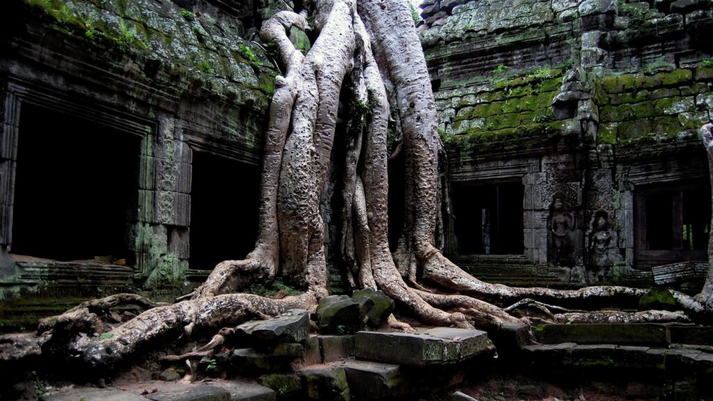 Ancient Ta Prohm Temple Tree Roots 4K Desktop Wallpaper