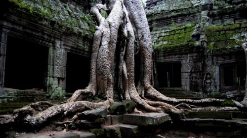 Ancient Ta Prohm Temple Tree Roots 4K Desktop Wallpaper