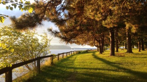 Golden Hour Lakeside Park Scenic View Desktop Wallpaper