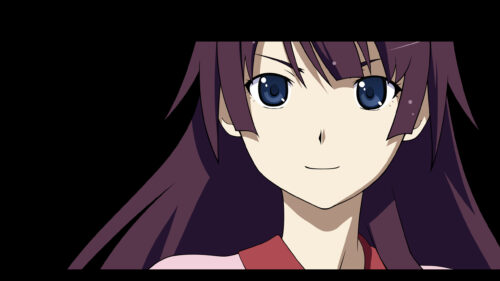 Hitagi Senjougahara Anime Portrait High Quality PC Wallpaper