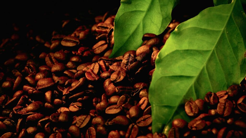 Roasted Coffee Beans with Fresh Green Leaves Desktop Wallpaper