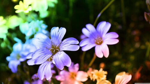 Vibrant Neon Flora Macro Close-up Floral Aesthetic 4K Desktop Wallpaper