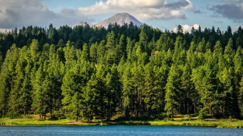 Serene Mountain Lake and Lush Pine Forest Landscape 4K Desktop Wallpaper