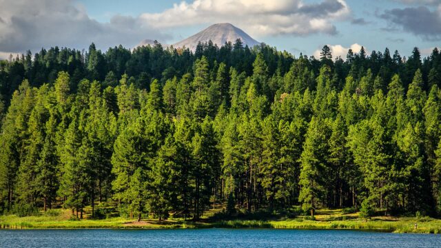 Serene Mountain Lake and Lush Pine Forest Landscape 4K Desktop Wallpaper