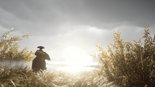 Ghost of Tsushima Samurai Rider in Golden Fields Desktop Wallpaper