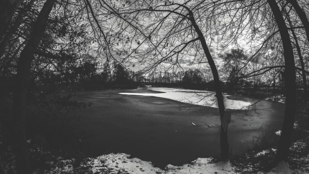 Stunning Black and White Frozen Lake Forest Landscape PC Wallpaper