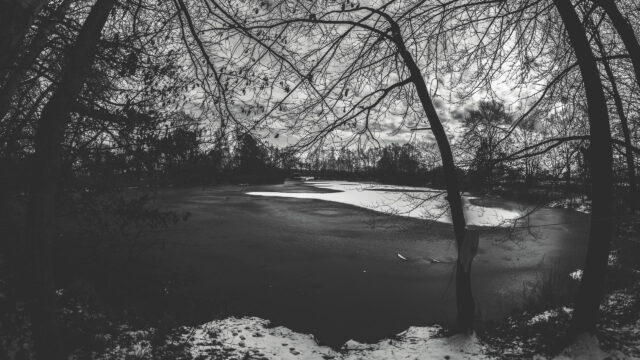 Stunning Black and White Frozen Lake Forest Landscape PC Wallpaper