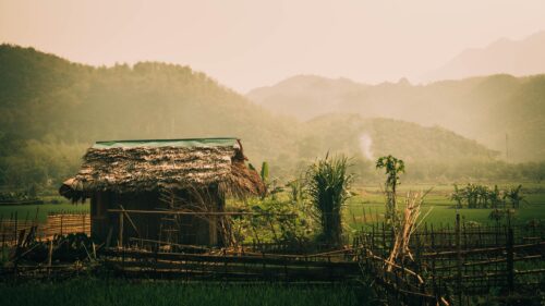 Rustic Thatched Roof Hut in Lush Green Rice Fields Landscape 4K Wallpaper