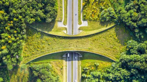 Aerial View of Eco Friendly Wildlife Crossing Bridge Over Highway 4K Wallpaper