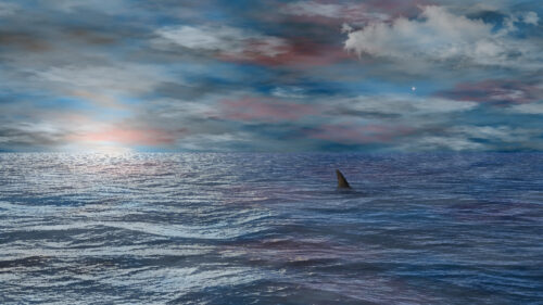 Shark Fin Emerging from Moody Ocean Waters 4K Desktop Wallpaper