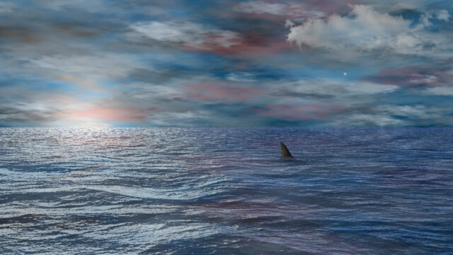 Shark Fin Emerging from Moody Ocean Waters 4K Desktop Wallpaper