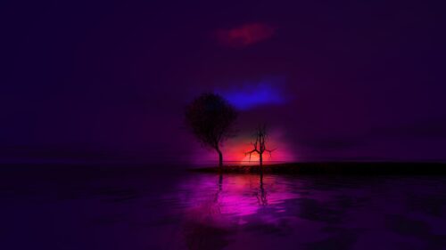Surreal Purple Sunset Landscape with Silhouette Trees PC Wallpaper